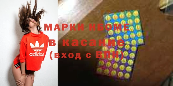 шишки Абаза