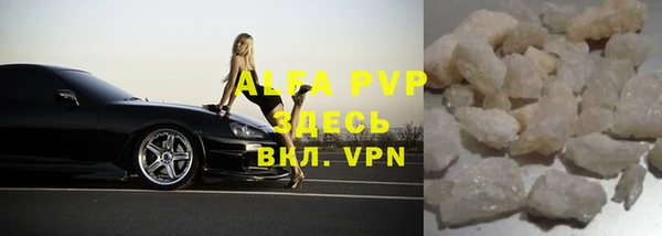 шишки Абаза
