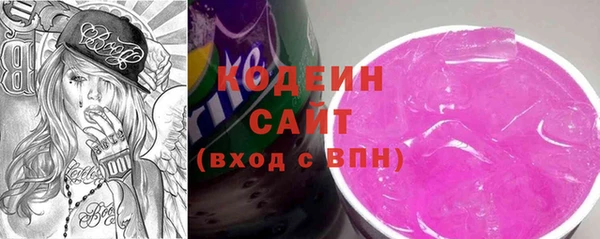 шишки Абаза